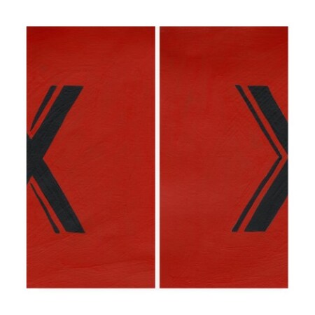 Trademark Fine Art Chariklia Zarris 'Luciens X 6 Up' Canvas Art, 35x35 WAG16214-C3535GG